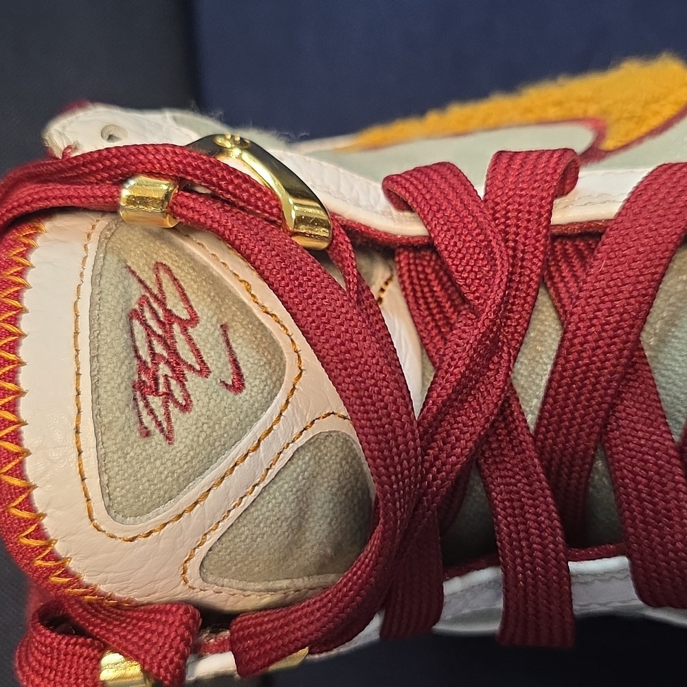 Lebron 7 MVP Historu - Picture 4 of 14